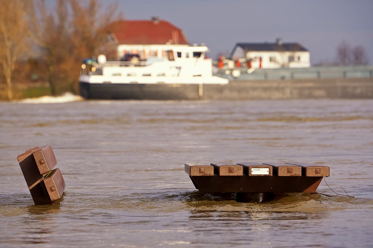 Disaster Preparedness Strategies for Persons with Disabilities